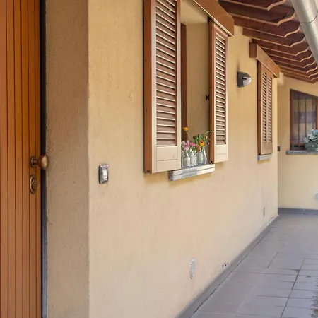 Small Island In Appartement