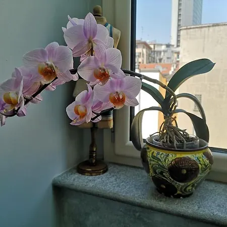 Апартаменты Centrale-luxury With Garden Terrace *