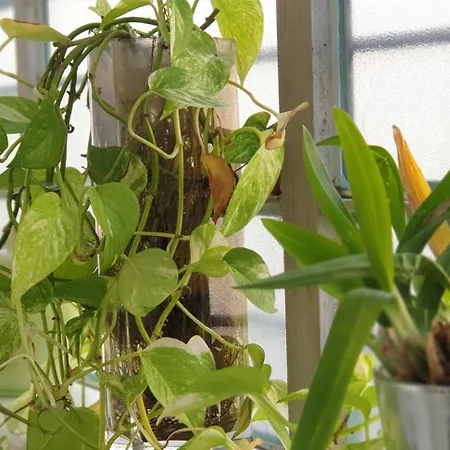 Couette-café My Place - Navigli Milan