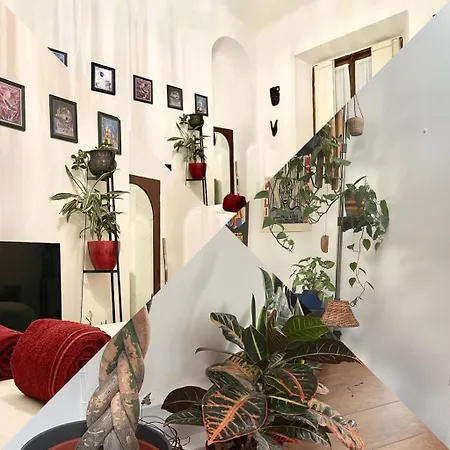 Kwatera prywatna La Stanza Della Giungla *
