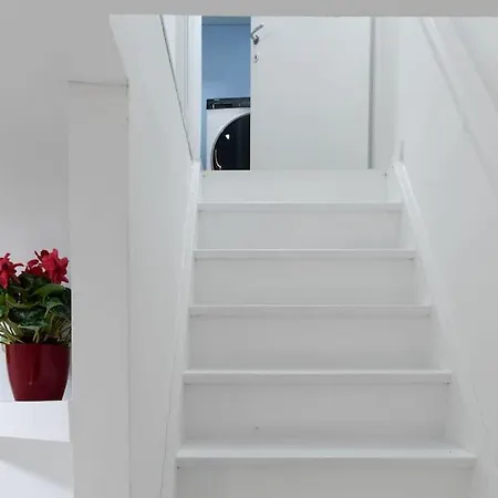 Apartment Three-suite With Free Netflix And Fast Wifi *