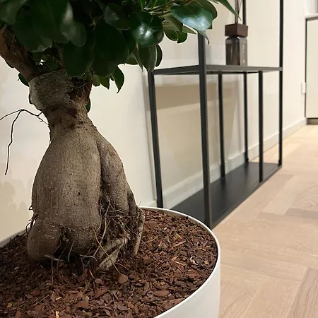 De Angeli's * Milánó