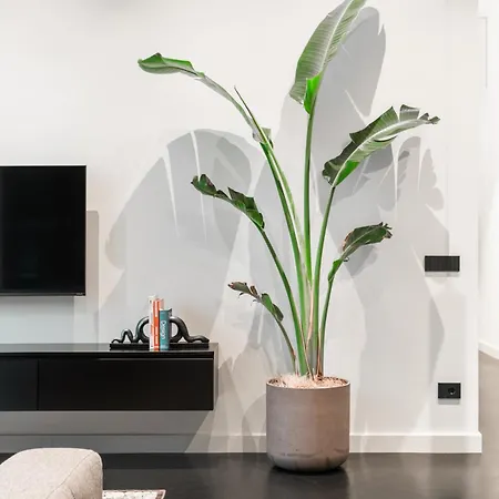 Apartament Minimal Pv *
