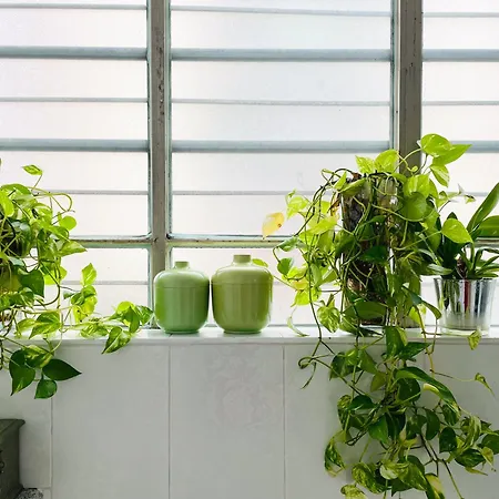 My Place - Navigli Couette-café 4*