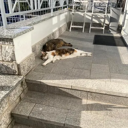 Villino Liber Guest house 4*