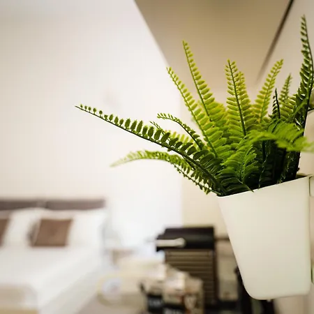 Διαμέρισμα Accomodo Mib31 Bivano Centro Storico *