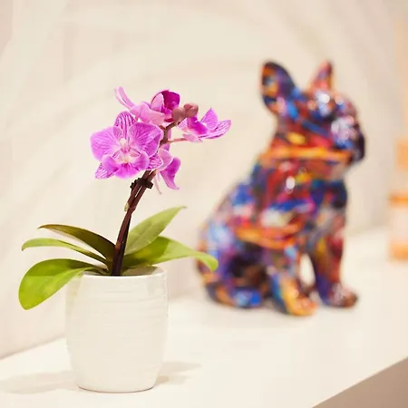 Sant'ambrogio Charme *