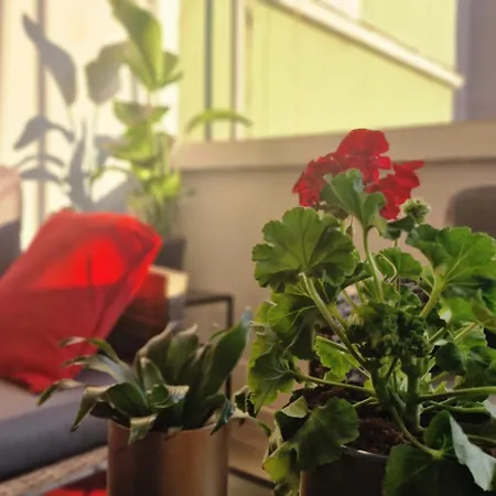 Διαμέρισμα La Casa Di Tom - Homy *