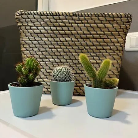 Nolo62, A Nifty Flat In