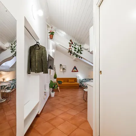 The White Jungle - San Babila Attic