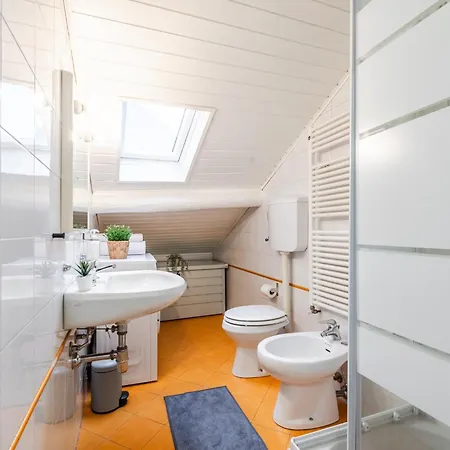 The White Jungle - San Babila Attic *