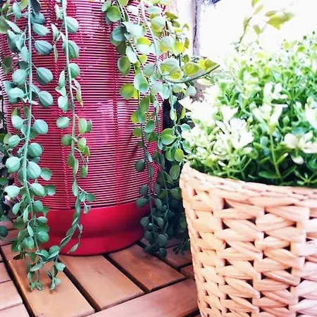 公寓 Sunny Flat 50 Meters From The Metro 米兰