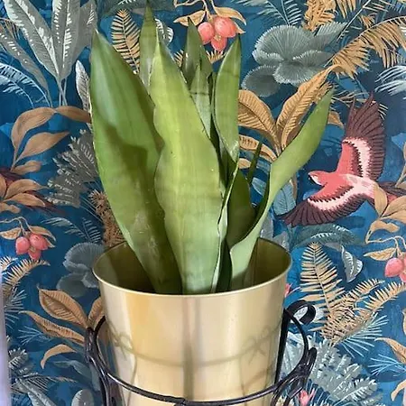 A Casa Di Gin Милан