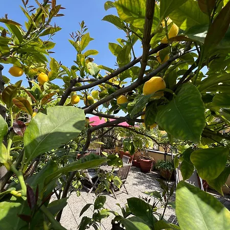 דירה Dream Garden Center On Subway 10 Guest מילאנו