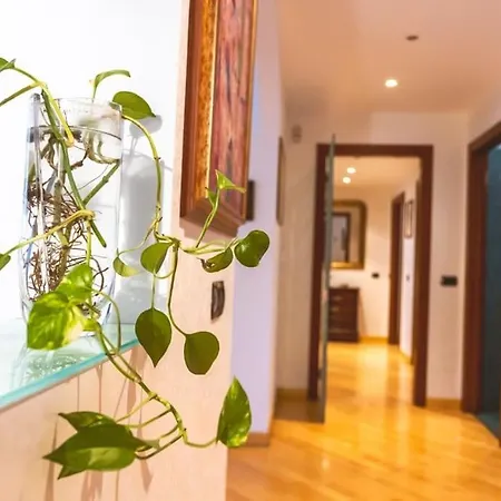 Ampia Oasi A Porta Venezia: Casa In Centro * ميلان