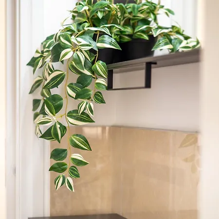 Keys Of Italy - Corsica 5 / Cocoon