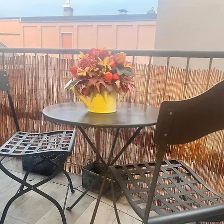 Chicco In Zona Elegante