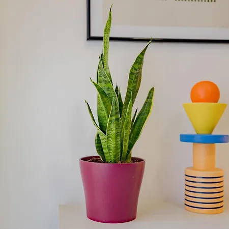 Comfy & Chic Near Universita Iulm & Famagosta-ideal For Work *