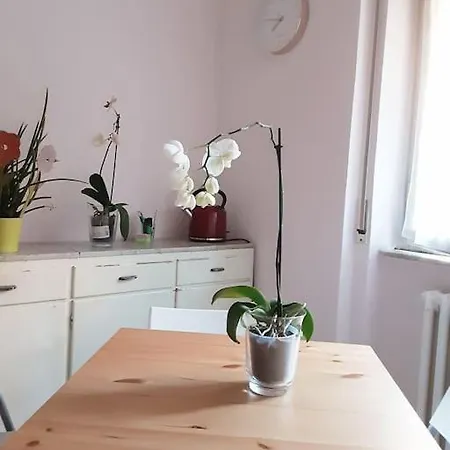 Appartement Gigia's Home, On The Of The Trees