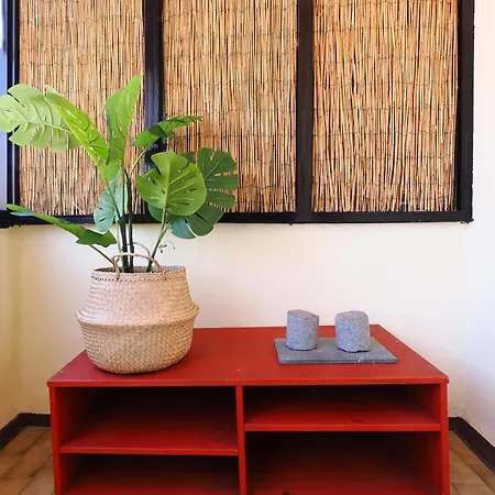 Primopiano - Semplicita * Milan