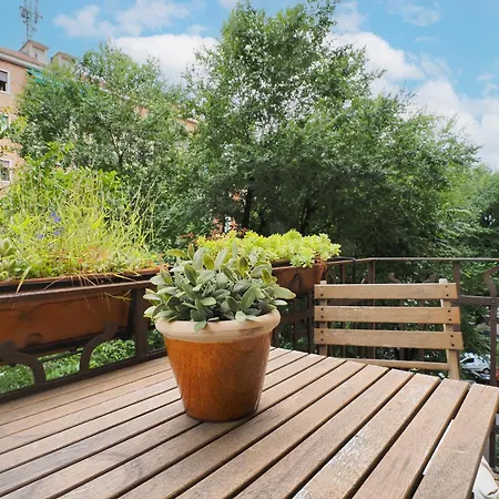 Primopiano - Lomellina