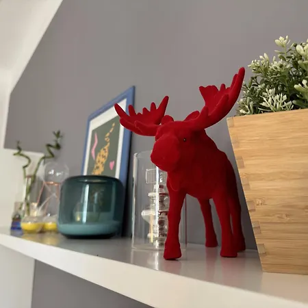 Via Stradivari - Vicino Duomo *