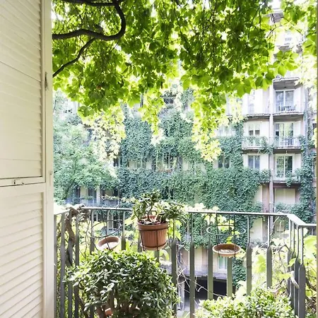 Easylife - - Cherubini 6 - Life *