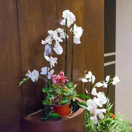 Appartement Disciplini A 5 Min Dal Duomo *