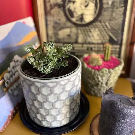 Bilocale - Zona Isola * 米兰