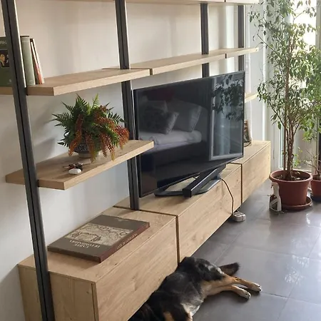 Franky Guest house
