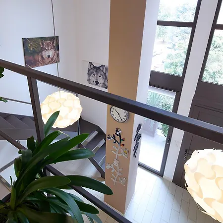 Star Loft דירה