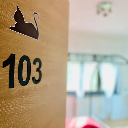 The Luxory Cat לינה וארוחת בוקר 3*