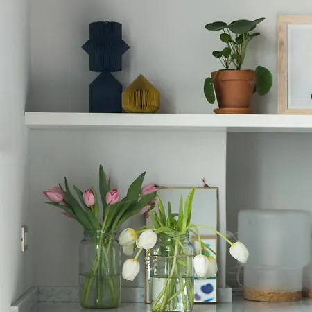 Greenhouse By Costanza *