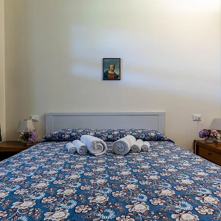 카시나 가졸리 *