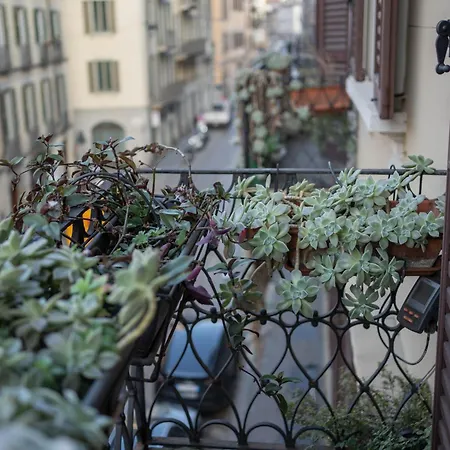 Marla Brera Center *