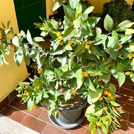 Casa Bocconi, Navigli, Porta Romana, * Milão