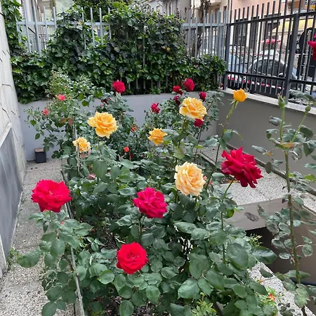 Beautiful In Apartament