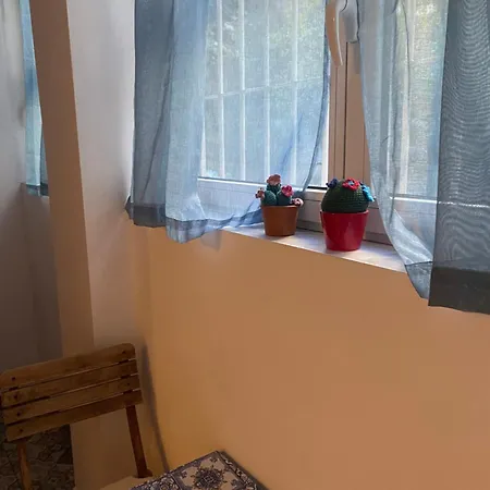 Delizioso Citta Studi