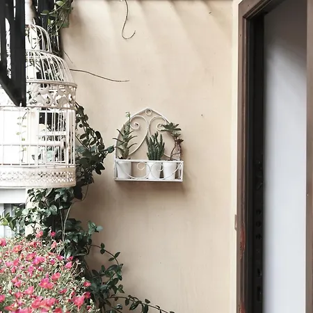Lejlighed Comecasa Flowery Terraced