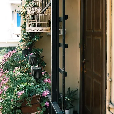 Comecasa Flowery Terraced *