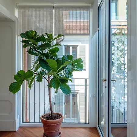 Apartment Rocco House Via Manzoni Milan