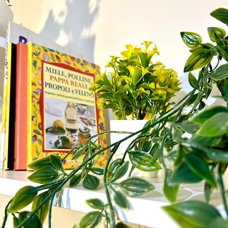 Golden Star Apartment *