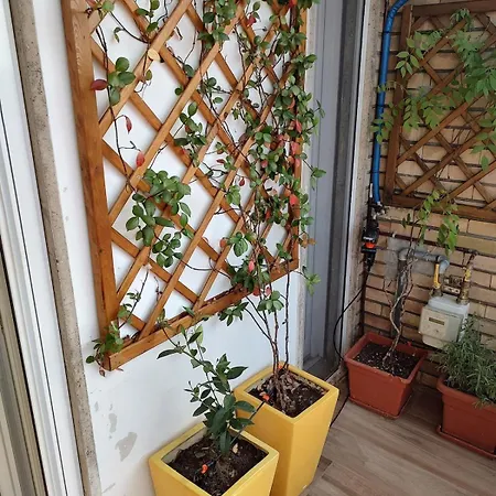 Ilbalconcino *