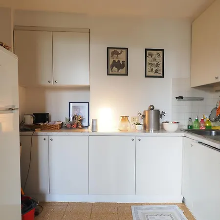 Piano Alto Vista Sul Parco *