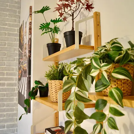 Apartmán Stadium To Duomo - San Siro, Citylife, Duomo Milán