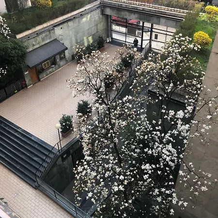 Music House - Carozzi