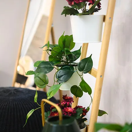 Insubria 8-dx - Monolocale Cool Apartment *