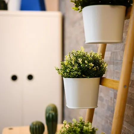 דירה Sebino 15 - Monolocale Cool