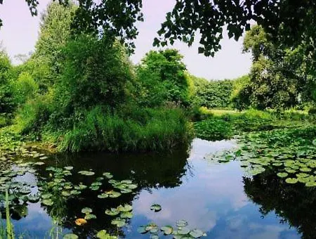 Fegi - Citta Studi, Besta, Politecnico, Istituto Dei Tumori * ミラノ