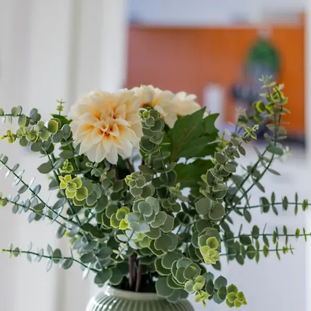 Parkview House - Carozzi Daire *